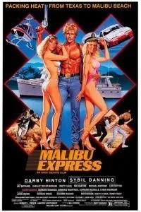 Малибу-экспресс (1985)