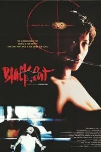 Черная кошка (1991)