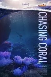 В поисках кораллов (2017)
