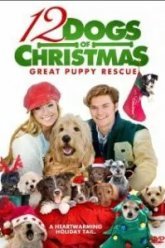 12 рождественских собак 2 (2012)