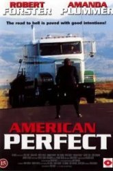 Американское совершенство (1997)