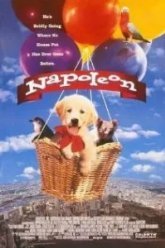 Наполеон (1995)