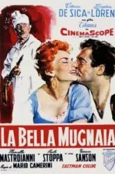Прекрасная мельничиха (1955)