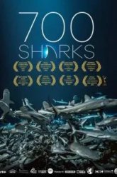 700 акул (2019)
