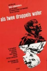 Как две капли воды (1963)