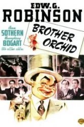 Брат «Орхидея» (1940)