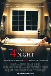 Только на одну ночь (2016)