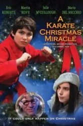 Рождественское чудо в стиле карате (2019)
