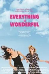 Everything Is Wonderful (2017)