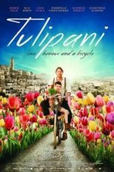 Тюльпаны: Любовь, честь и велосипед (2017)