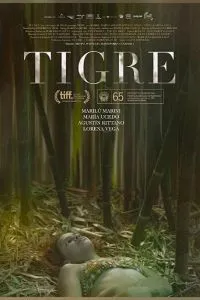Tigre (2017)