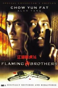 Огненные братья (1987)