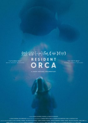 Резидентная косатка