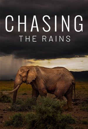 В погоне за дождями